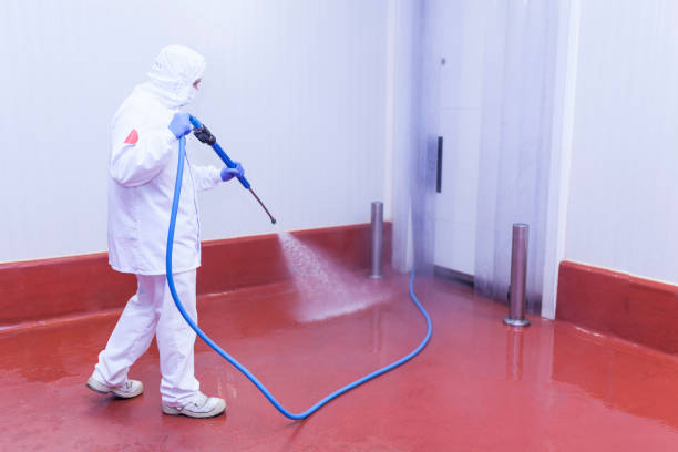 Best Gutter Cleaning and Brightening in West Salem, WI