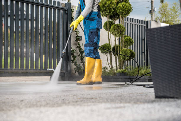 Best Soft Washing for Delicate Surfaces in West Salem, WI